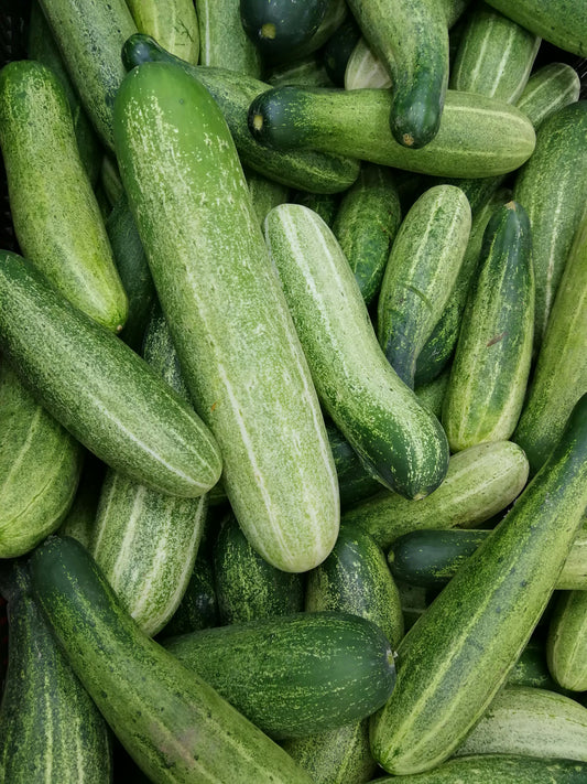 Cucmber